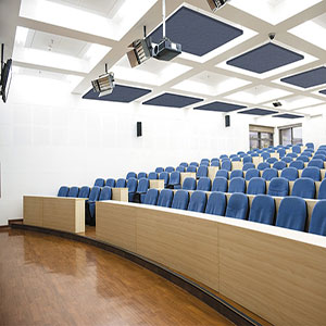 Ses Yalıtımı